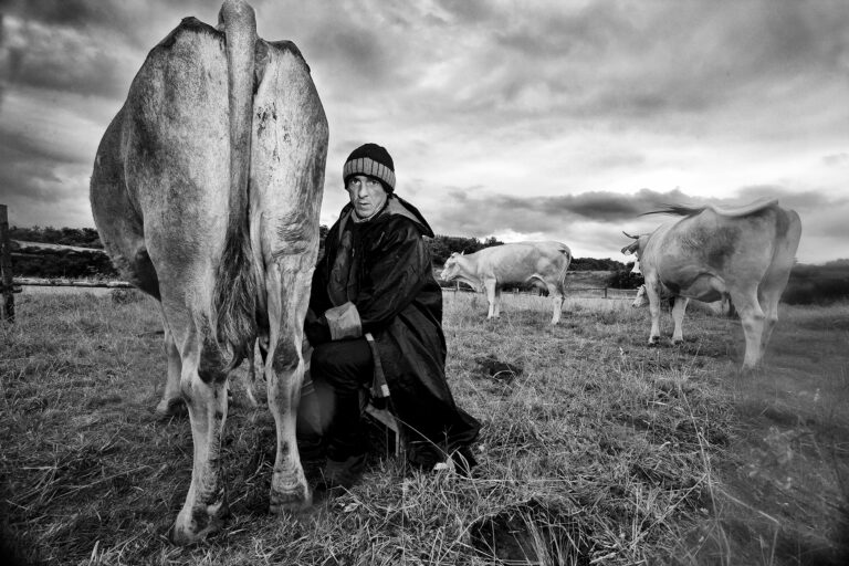 Stefi Praprotnik Borko - Stefi-P.-Borko-3